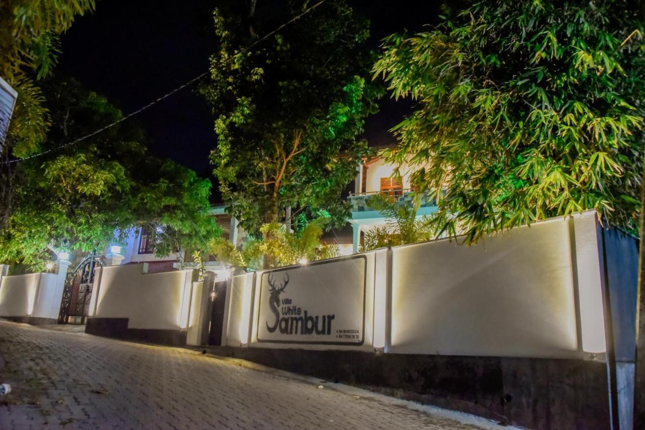 Villa De White Sambur Hikkaduwa Exterior photo